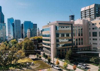 pexels-armando-rios-5705108 (1) pexels-armando-rios-5705108 (1)